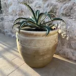 Apartment Jakov & Antonia Heritage Estate Hvar Town