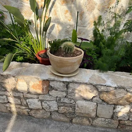 Jakov & Antonia Heritage Estate Διαμέρισμα *