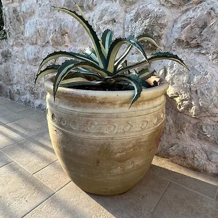 Apartamento Jakov & Antonia Heritage Estate Hvar Town