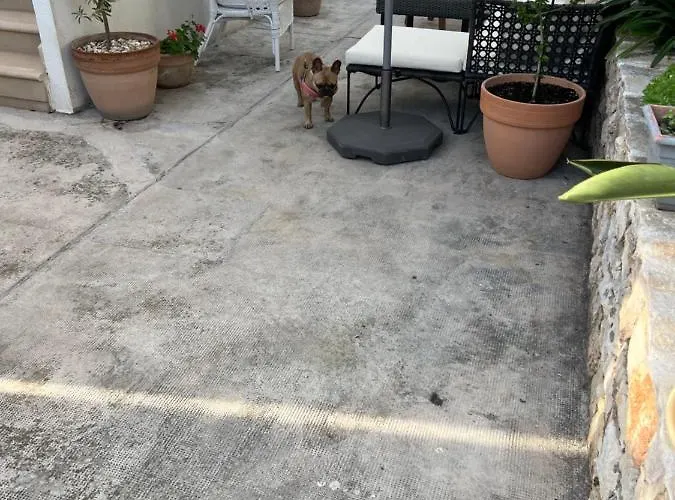 Διαμέρισμα Jakov & Antonia Heritage Estate *