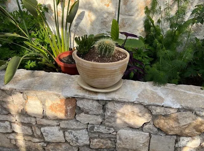 Jakov & Antonia Heritage Estate Διαμέρισμα *