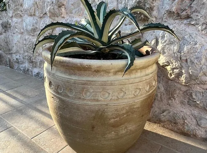 Διαμέρισμα Jakov & Antonia Heritage Estate Χβαρ